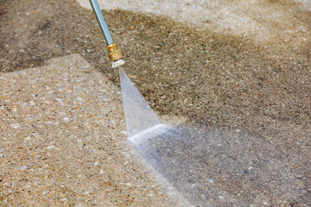 Best Roof Washing  in Great Neck, NY